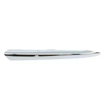 Baguette et bande protectrice, pare-chocs avant gauche BLIC 5703-05-3534921CP