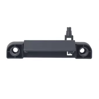 Poignet de porte, équipment intérieur avant droit BLIC 6010-03-0429410WP