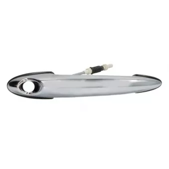 Poignée extérieure de porte avant gauche BLIC 6010-05-0884401P