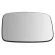 Verre de rétroviseur, rétroviseur extérieur BLIC 6102-09-2476313P - Visuel 1