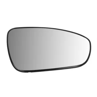 Verre de rétroviseur, rétroviseur extérieur BLIC 6102-09-2503313P