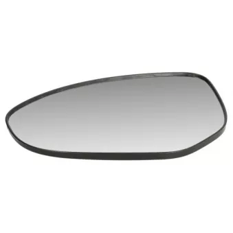 Verre de rétroviseur, rétroviseur extérieur BLIC 6102-14-0739310P