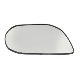 Verre de rétroviseur, rétroviseur extérieur BLIC 6102-20-0556311P