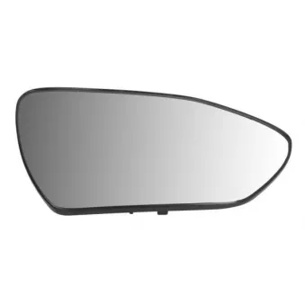 Verre de rétroviseur, rétroviseur extérieur BLIC 6102-20-2410313P