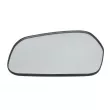 Verre de rétroviseur, rétroviseur extérieur BLIC 6102-53-2317310P - Visuel 1