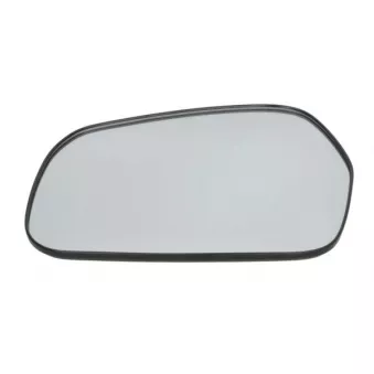 Verre de rétroviseur, rétroviseur extérieur BLIC 6102-53-2317310P