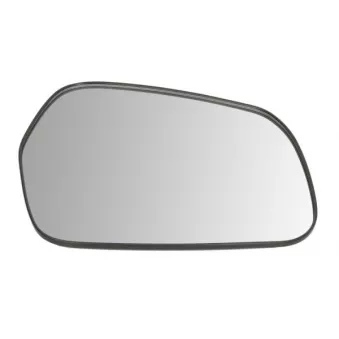 Verre de rétroviseur, rétroviseur extérieur BLIC 6102-53-2317311P