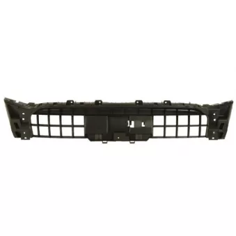 Suspension, grille de radiateur BLIC 6502-07-0035919P