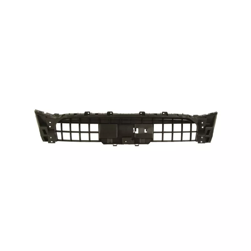 Suspension, grille de radiateur BLIC 6502-07-0035919P