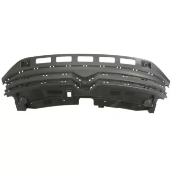 Grille de radiateur BLIC 6502-07-0532992P