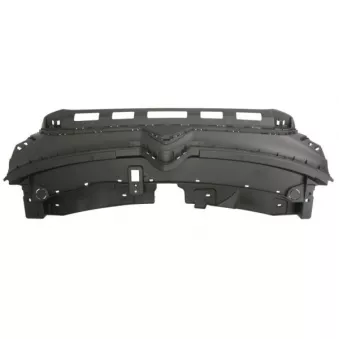 Grille de radiateur BLIC 6502-07-0544992P