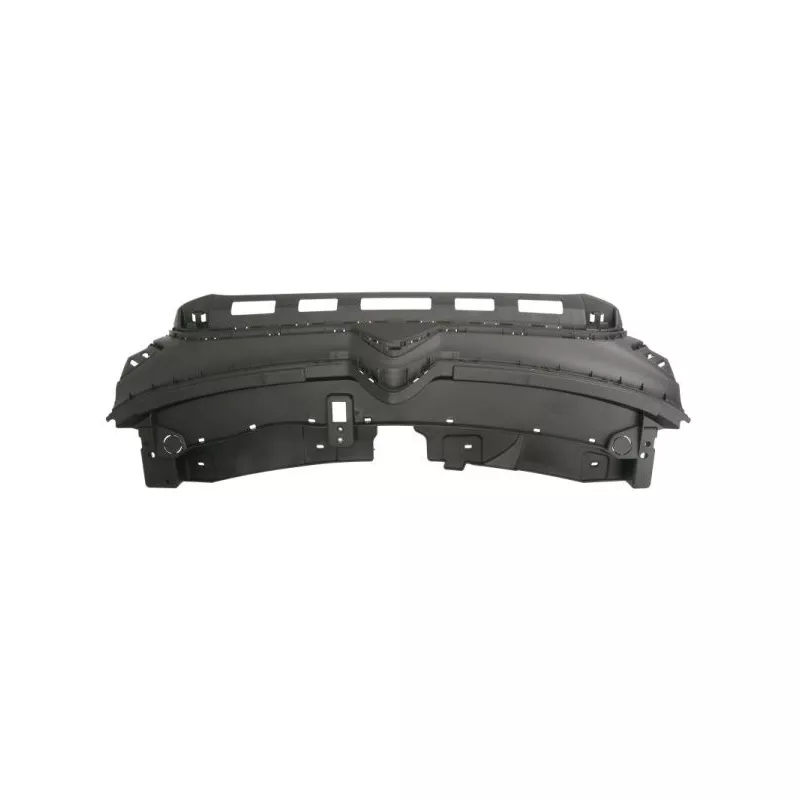Grille de radiateur BLIC 6502-07-0544992P