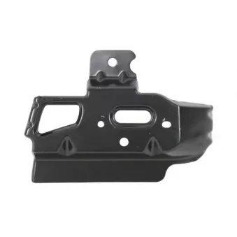 Support, grille de radiateur BLIC 6502-07-2507993P