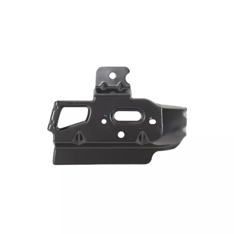 Support, grille de radiateur BLIC 6502-07-2507993P