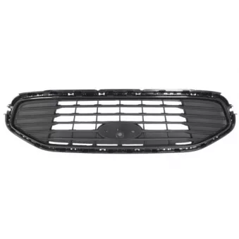 Grille de radiateur BLIC 6502-07-2514991P