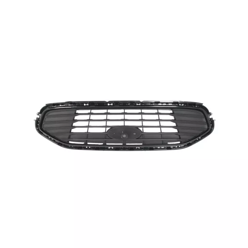 Grille de radiateur BLIC 6502-07-2514991P