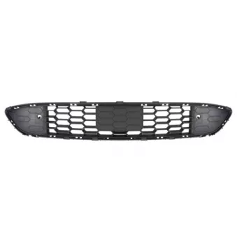 Grille de ventilation, pare-chocs avant gauche BLIC 6502-07-2579980P