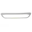 Baguette et bande protectrice, grille de radiateur BLIC 6502-07-2579982P - Visuel 1