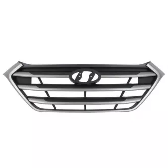 Grille de radiateur BLIC 6502-07-3177995P