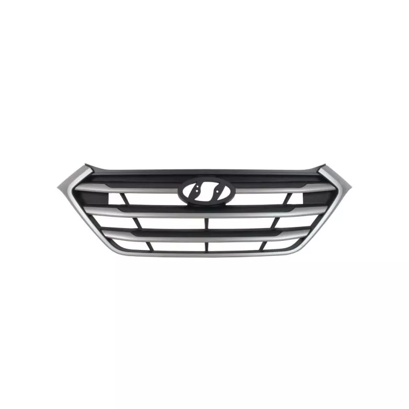 Grille de radiateur BLIC 6502-07-3177995P