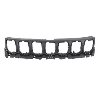 Grille de radiateur BLIC 6502-07-3235991P