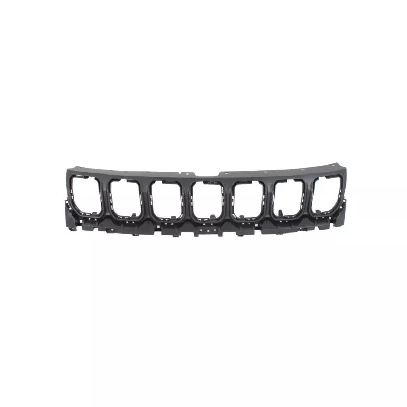 Grille de radiateur BLIC 6502-07-3235991P
