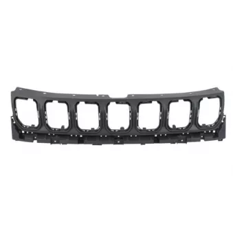 Grille de radiateur BLIC 6502-07-3235992P