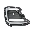 Grille de ventilation, pare-chocs BLIC 6502-07-3289916P - Visuel 1