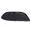Grille de ventilation, pare-chocs avant droit BLIC 6502-07-3521916LP - Visuel 2