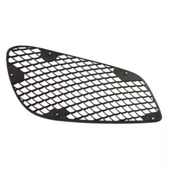 Grille, conduit d'air d'admission avant droit BLIC