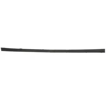 Baguette et bande protectrice, pare-chocs avant gauche BLIC 6502-07-3554920P