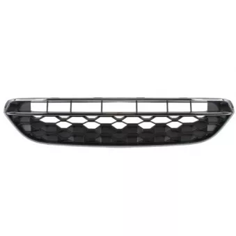 Grille de radiateur BLIC 6502-07-4004991P