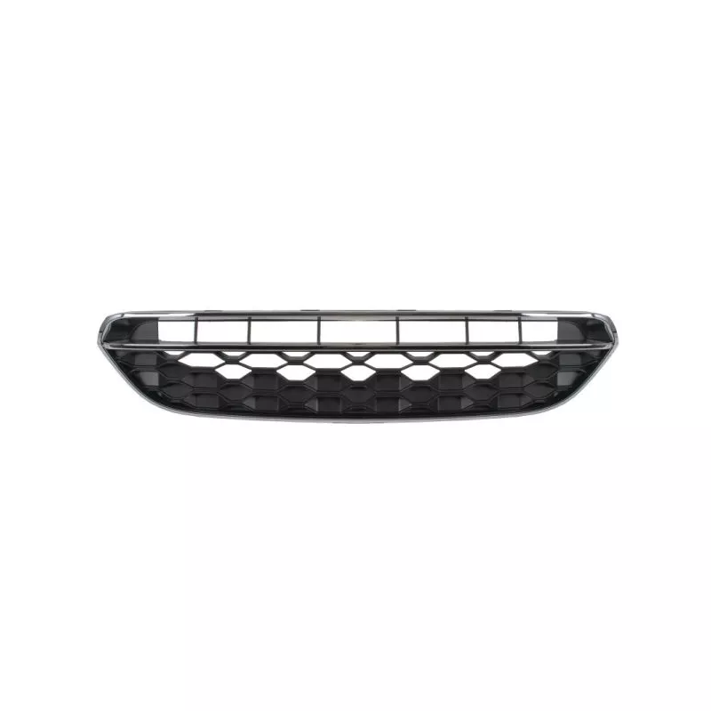 Grille de radiateur BLIC 6502-07-4004991P