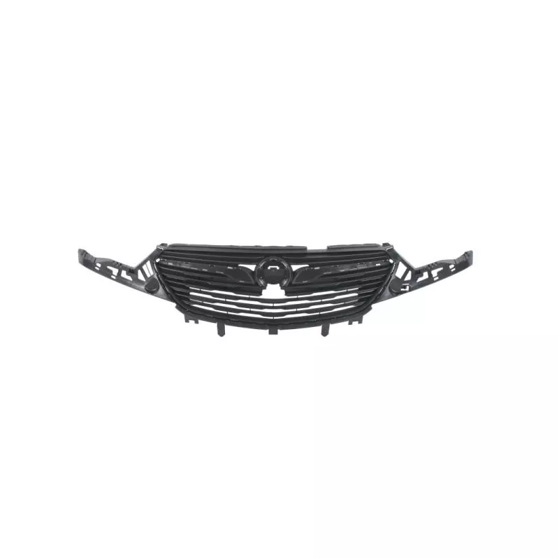 Grille de radiateur BLIC 6502-07-5037990P