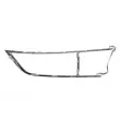 Cadre, projecteur principal avant gauche BLIC 6502-07-5055981P - Visuel 2