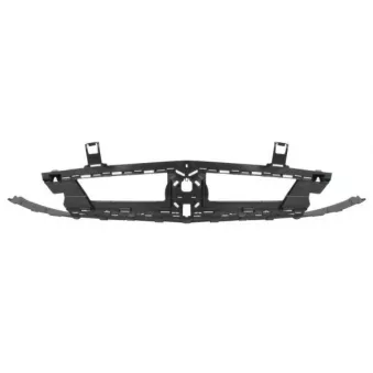 Grille de radiateur BLIC 6502-07-5055990P