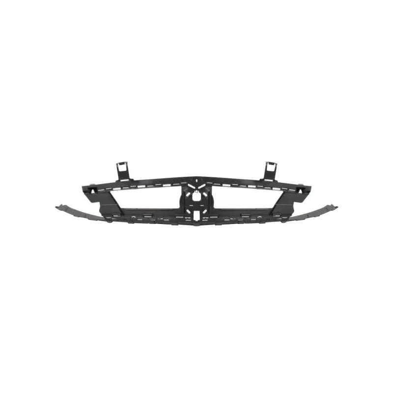 Grille de radiateur BLIC 6502-07-5055990P