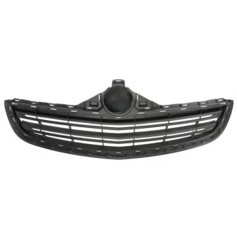 Grille de radiateur BLIC 6502-07-5055991P