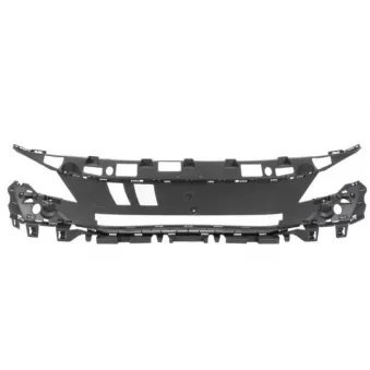 Suspension, grille de radiateur BLIC 6502-07-5547920P