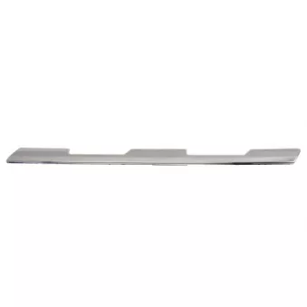 Baguette et bande protectrice, grille de radiateur BLIC 6502-07-6057991P