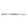 Baguette et bande protectrice, grille de radiateur BLIC 6502-07-6057992P - Visuel 1