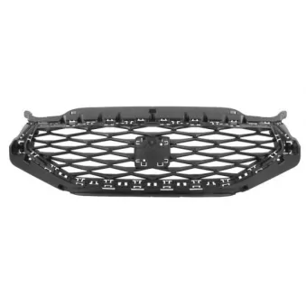 Grille de radiateur BLIC 6502-07-6626994P