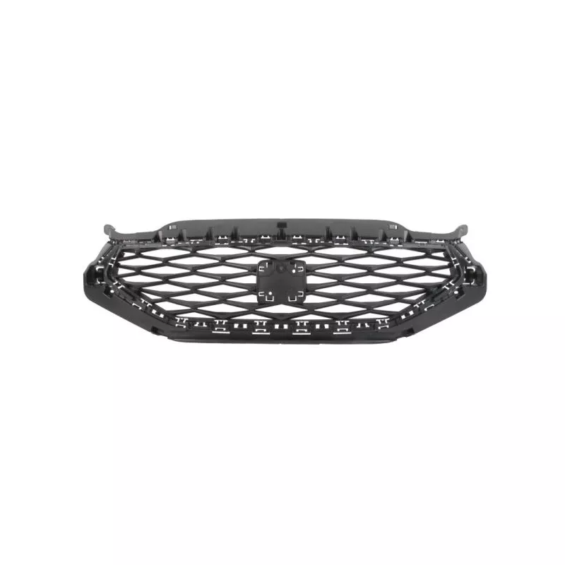 Grille de radiateur BLIC 6502-07-6626994P