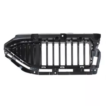 Grille de radiateur avant gauche BLIC 6502-07-7800991P