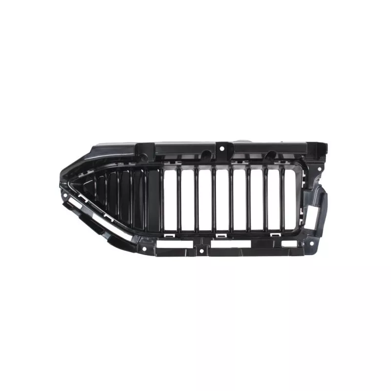 Grille de radiateur avant gauche BLIC 6502-07-7800991P