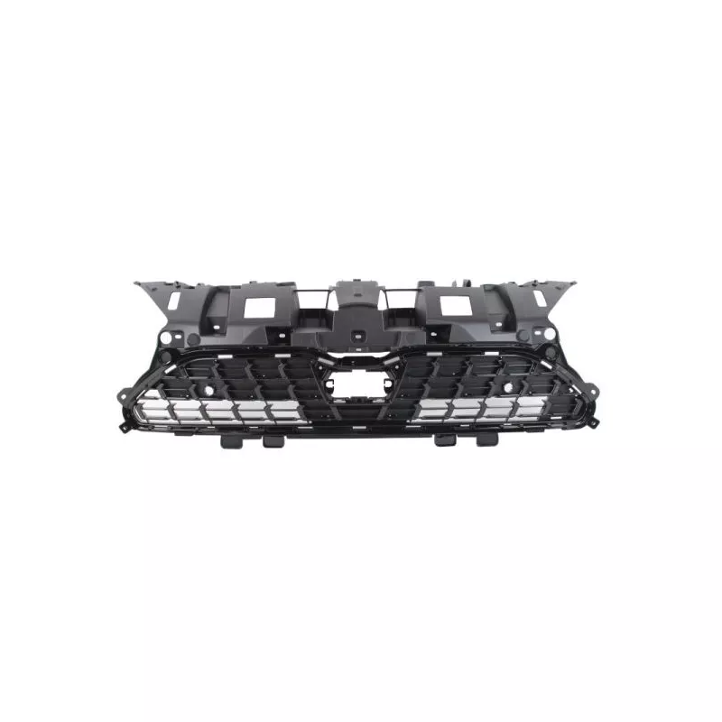 Grille de radiateur BLIC 6502-07-8168992P