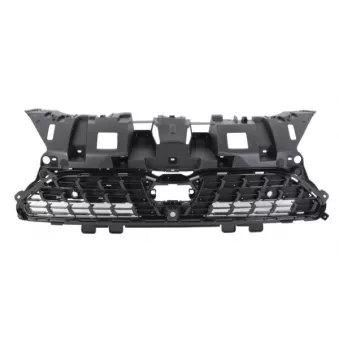 Grille de radiateur BLIC 6502-07-8168993P