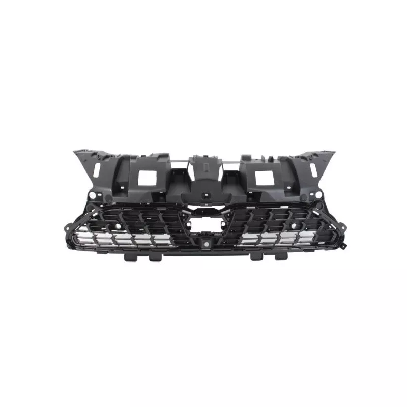 Grille de radiateur BLIC 6502-07-8168993P