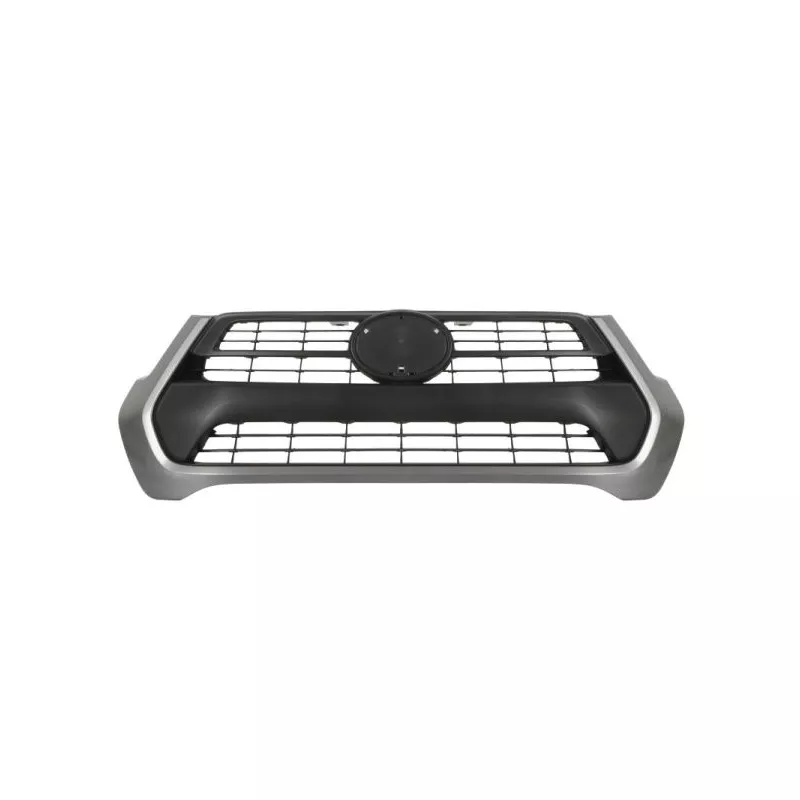 Grille de radiateur BLIC 6502-07-8176990P
