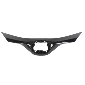 Grille de radiateur BLIC 6502-07-8182993P